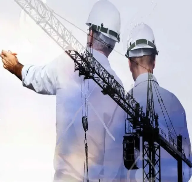 Director de proyecto en un proyecto de construcción
