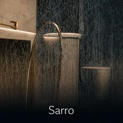 Sarro y depósitos minerales